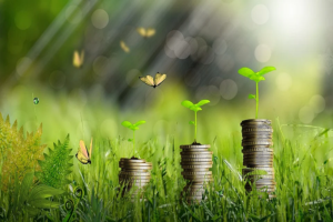 Economie verte