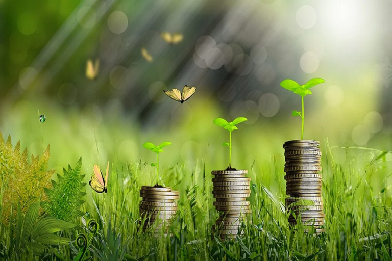 Economie verte