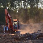 Déforestation