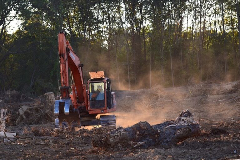 Déforestation