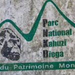 parc national Kahuzi-Biega