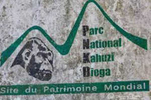 parc national Kahuzi-Biega