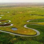 Delta de l'okavango
