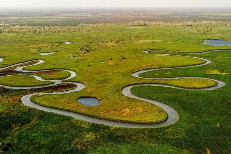 Delta de l'okavango