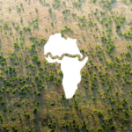 la Grande muraille verte d'Afrique
