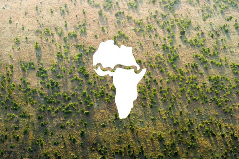 la Grande muraille verte d'Afrique