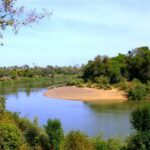 fleuve Gambie
