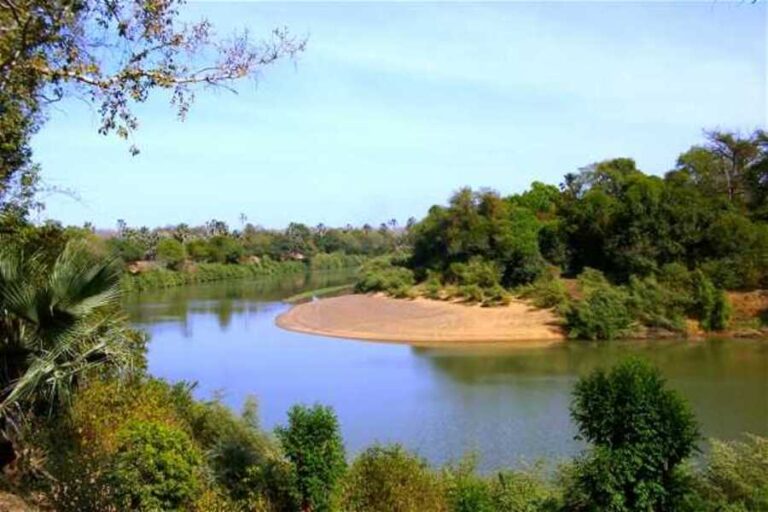 fleuve Gambie