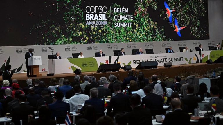 Coup d’envoi de la COP30 au Brésil : quels enjeux pour la planète ?© ONU