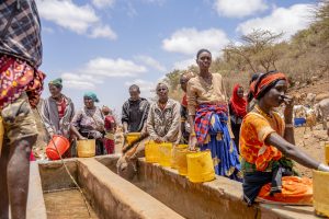 L’inaction climatique cause plus de 500 000 décès par an, selon le rapport 2025 de Lancet© OMS
