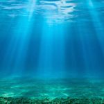 À la COP30, un réseau se donne pour mission de mobiliser 20 Md$ pour sauvegarder les paysages marins©Ambassade de France en Afrique du Sud