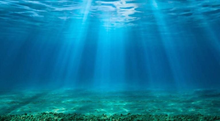 À la COP30, un réseau se donne pour mission de mobiliser 20 Md$ pour sauvegarder les paysages marins©Ambassade de France en Afrique du Sud