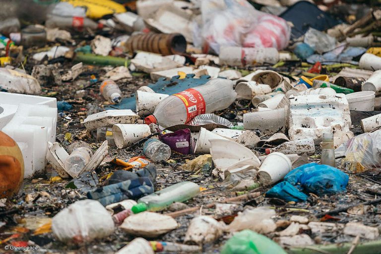 Plastique à usage unique