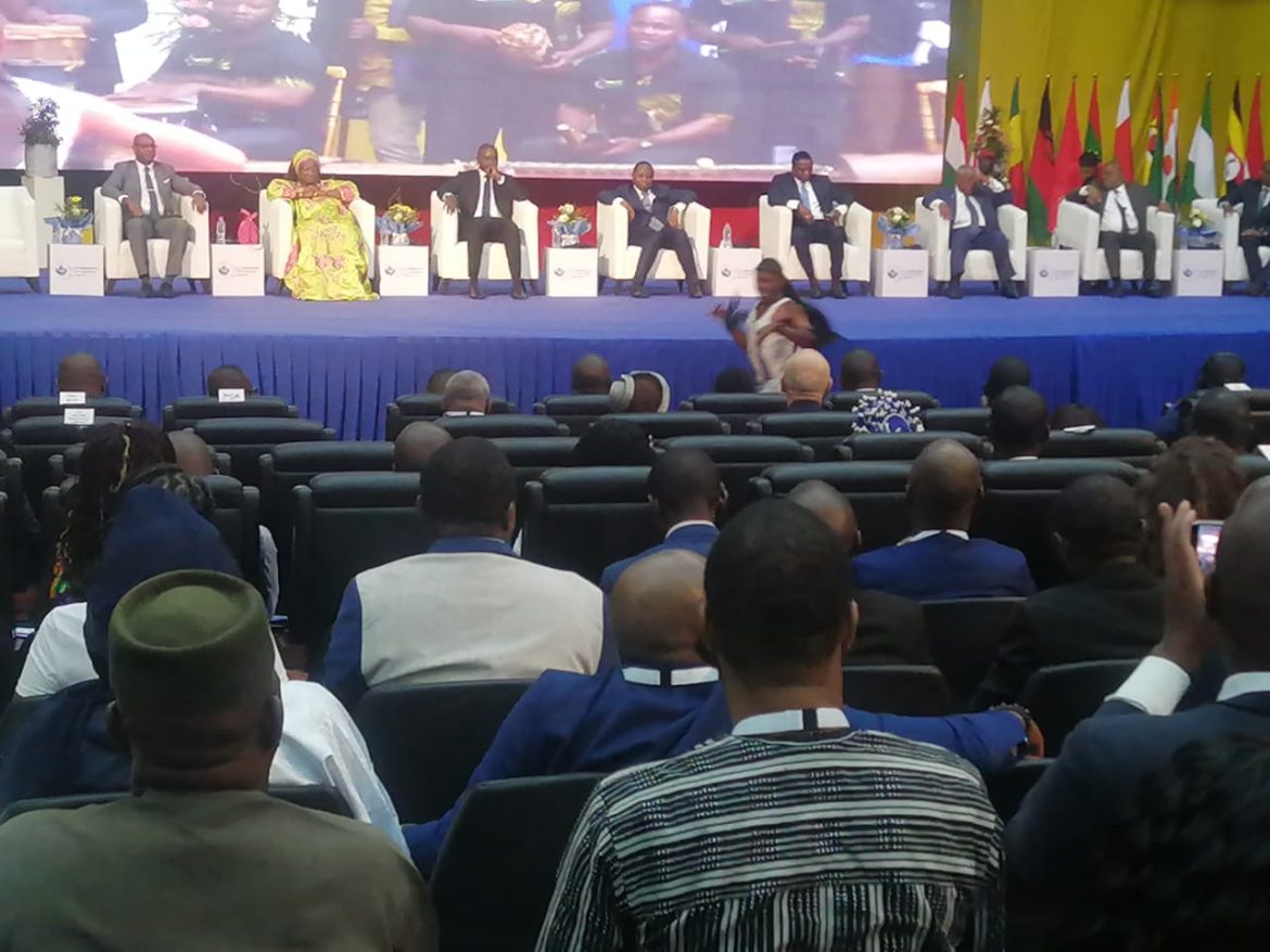 Ouverture du 23e Congrès AAEA Yaoundé