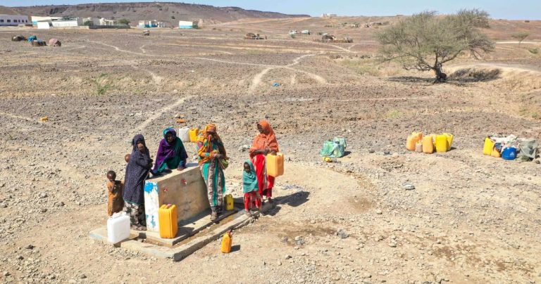 Des femmes qui s'approvisionnent à l'eau potable au forage