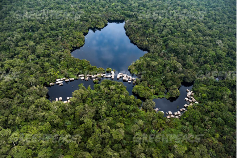 Les forêts au Cameroun