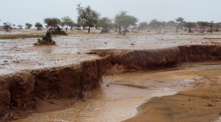 Changement climatique Sahel