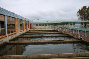 Une usine d'eau potable en Afrique du Sud