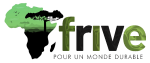 Mini logo Afrive Fond Transparent