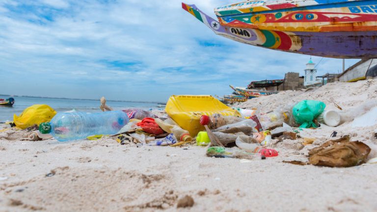 Plastics Clean up on Beach