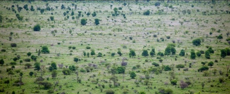 Restauration terres dégradées Afrique