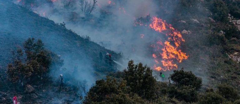 Feux de forêts à Bouïra en Algérie