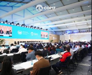 COP17 en Mongolie