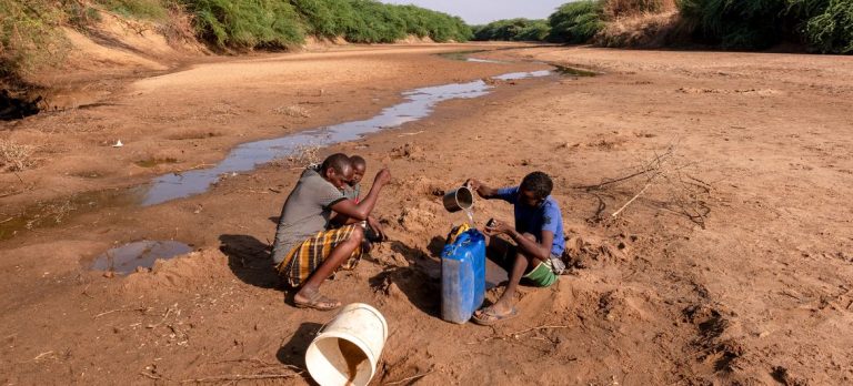 Sécheresse en Afrique