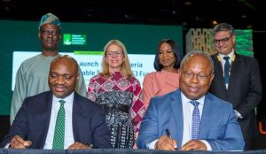 NSIA et Africe50 lancent le Fonds nigérian pour les énergies renouvelables décentralisées