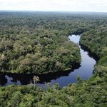 Bassin du Congo