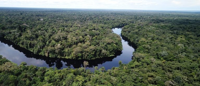 Bassin du Congo